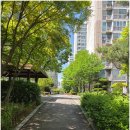 어양주공6단지아파트 | [461편/전북특별자치도 익산시 어양동]어양주공6단지아파트 내부에 위치한 작지만 아이들이 놀기 좋은...