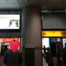 2016.05.30 월:KKF한국애견연맹충남애견미용학원온양아산점/큰언니가실습하셨던농장강아지블랙푸들미용...