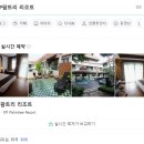 피피팜 | 12월의 태국여행(푸켓&amp;피피섬)_피피숙소 이용후기 : 피피팜트리 리조트(P.P palmtree resort)
