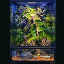 아쿠아데이 이미지