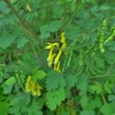 승학(엄궁)약수터 이미지