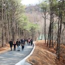 출렁다리 공중화장실 네이버블로그