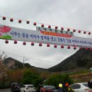 마산 천주산 진달래 산행. 이미지