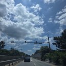 살롱드매그놀리아