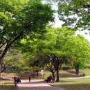 국립진주박물관 이미지