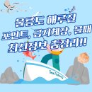 반딧불용구 | 울릉도 금어기, 잡히는 어종, 해루질 가이드: 5분만에 모든 정보 종결