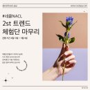 네클NACL 2st 수제네일팁 트렌드 체험단 후기