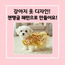 제티스 | 젠탱글과 AI가 만나면 강아지 옷도 만들수 있죠!