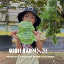 금곡마을회관 | 진주 금곡 아이와갈만한곳 샤인머스켓 체험 세아네샤인농장