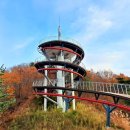 이대건신도비 이미지