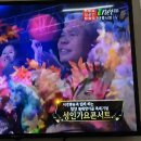 아이넷..함양물레방아골 축제..평행선~ 이미지