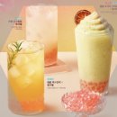 공차김해 - 김해시 삼계중앙로 31 | 공차김해