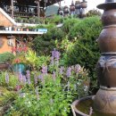 속리산민박 이미지