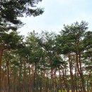 북천수 공중화장실 이미지