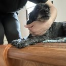 호미골체육공원 이미지