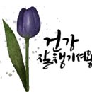 (디지털문해) 스마트폰 기초 이미지