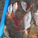 (주)피.심 이미지