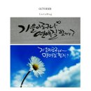 캘리이야기끌림