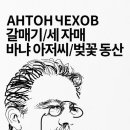 신흥문화사
