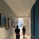 똠방카정비프라자 | 괌 3박 4일 가족여행 🌴 Day2. 크라운 플라자 리조트 &amp; 파란 돌핀크루즈