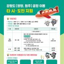 나우플러스투어