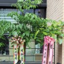 상도은빛어르신복지관 이미지