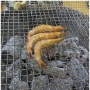 기찬식당 이미지