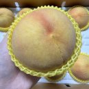 금강농원 | 금강농원 엘바도 황도 후기