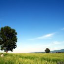 기종목장 이미지