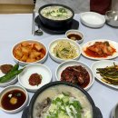 큰집꼬리곰탕 | 목포현지인맛집 안골정 꼬리곰탕 전문점 내돈내산 솔직후기