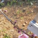 재민농장 이미지