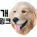 독도활어회센타 이미지