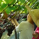 둔덕가족생활체육공원 이미지