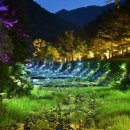 솔향수목원(암석원) 이미지