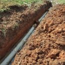 춘수농장 이미지