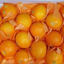 털보농산 이미지