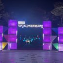 2025 대전 서구 아트페스티벌 이미지