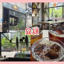 지구식물 | 낮에도 분위기 좋았던 광주 심야카페 상무지구 요새 후기