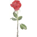 요기캔들 네이버블로그