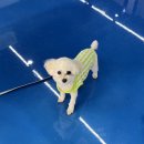 개편한 스쿨 이미지