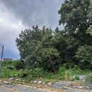 삼죽축구장 이미지