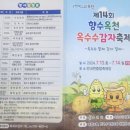 옥천군 안내면 옥수수 감자축제