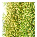 건들바위네거리 이미지