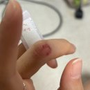 조선이공대학교 | [조선이공대학교] 미용사 일반 실기시험 후기 + 헤어실기 원패스??