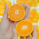 달콤농원 이미지