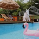 테라스527캠핑장