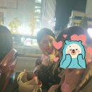 종로프라자약국 | 노랑풍선 시티버스 전통문화코스 야간투어 후기