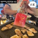 삼성고기마을 티스토리