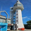 제주그루 이미지