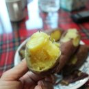 캐슬농산